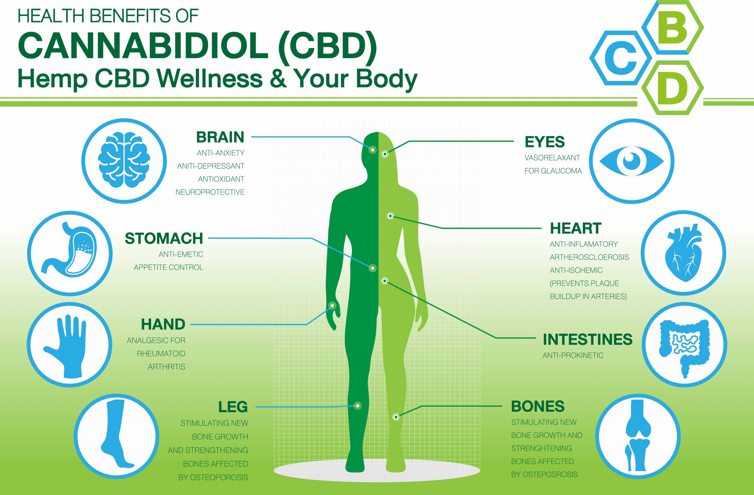 How CBD Effects the body
